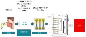 核酸检测需要用(yòng)到哪些传感器？